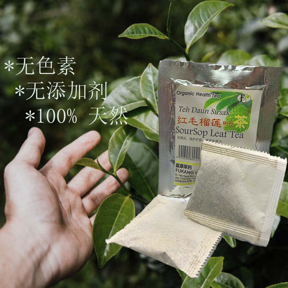 Soursop Leaf Tea (3)